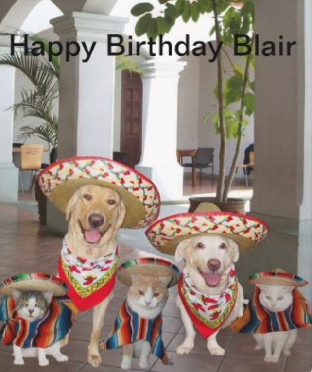 Birthday Card