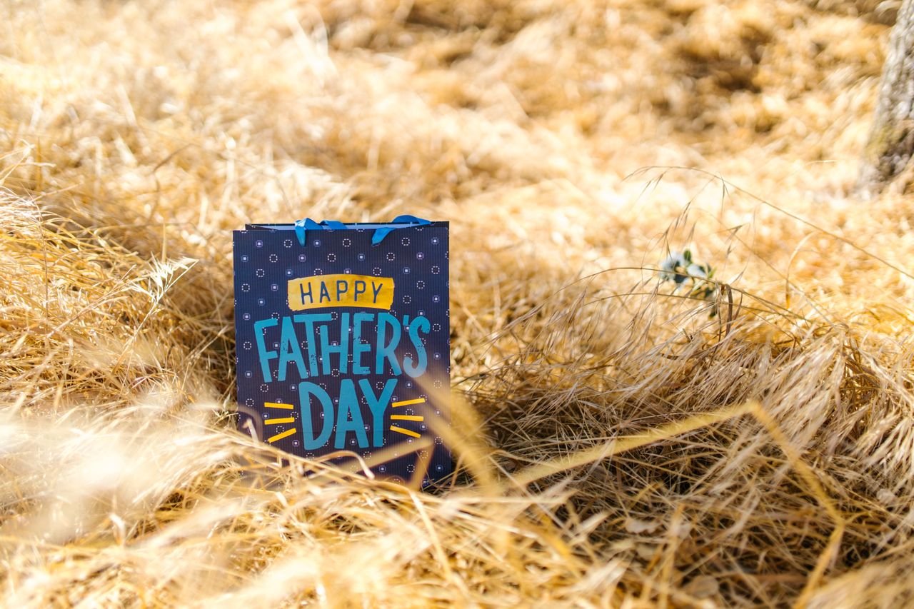 A Happy Father's Day gift bag sits amidst golden grass under the sun, celebrating the occasion.